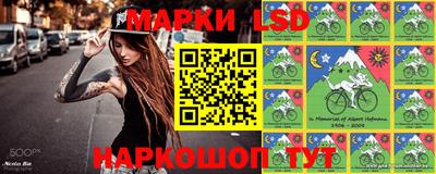 гашик Будённовск