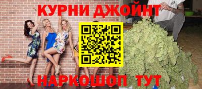 гашик Будённовск