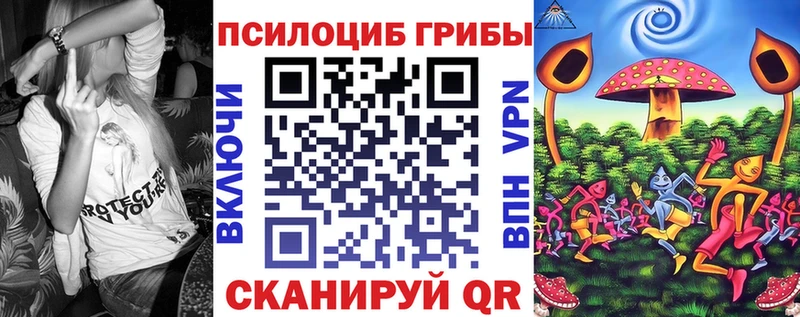 Галлюциногенные грибы мухоморы  где купить наркотик  Гай 