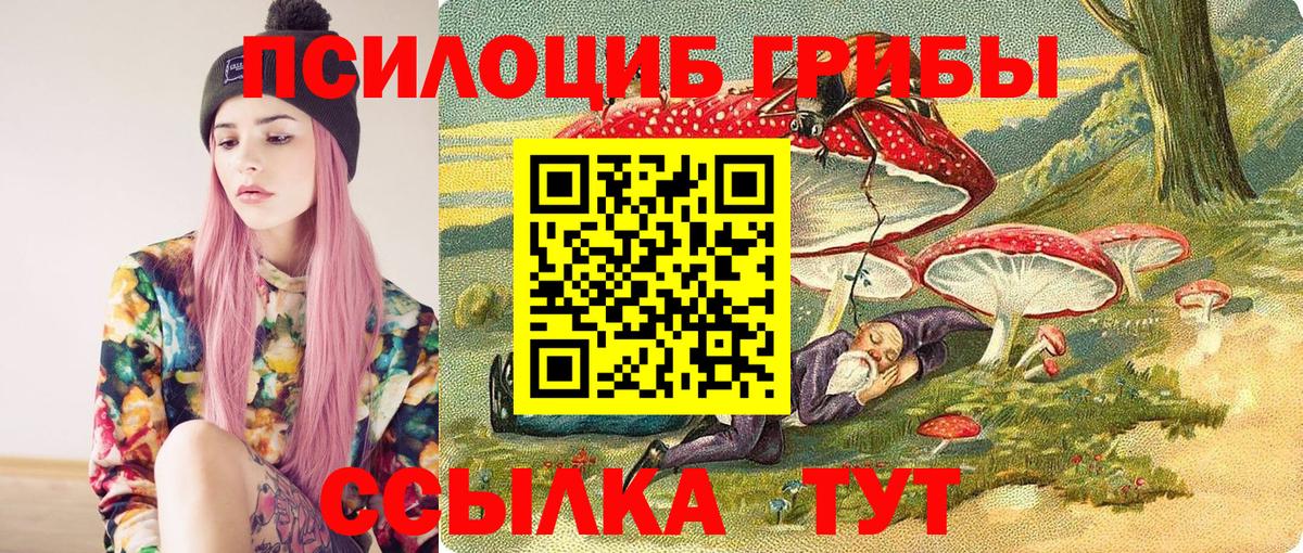 Псилоцибиновые грибы Psilocybe Гай