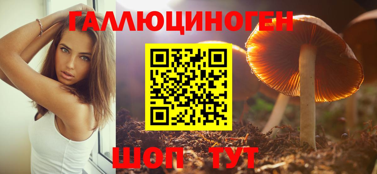 Галлюциногенные грибы мухоморы  Вход с VPN  купить  сайты  Гай 