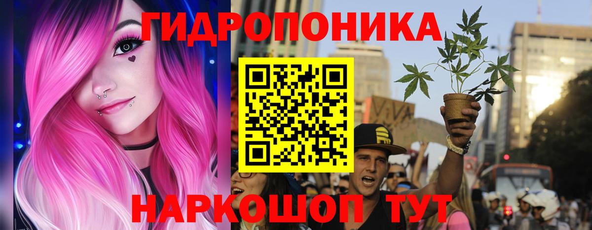 Марихуана сатива  Канабис Amnesia  Канабис THC 21%  Гай  Бошки марихуана White Widow  Вход с VPN 