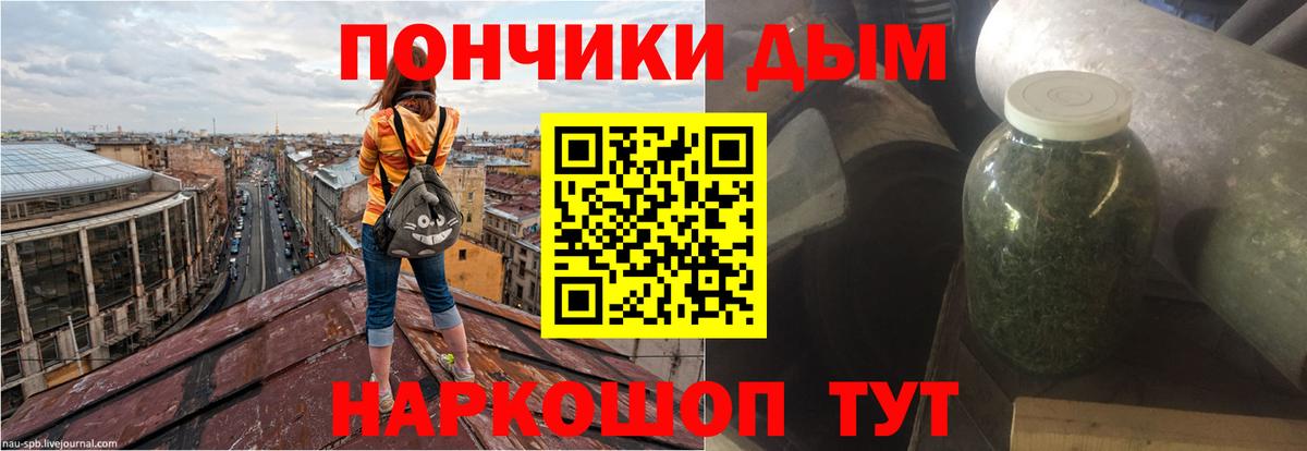 Конопля семена  Бошки Шишки ГИДРОПОН  Марихуана VHQ  Гай 